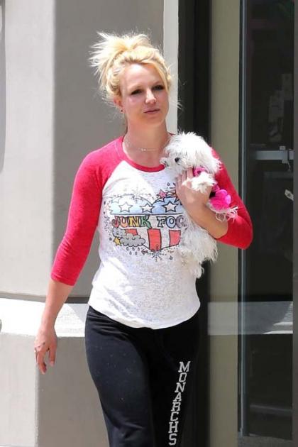 Britney Spears & David Lucado: Sports Authority with the Pooch!