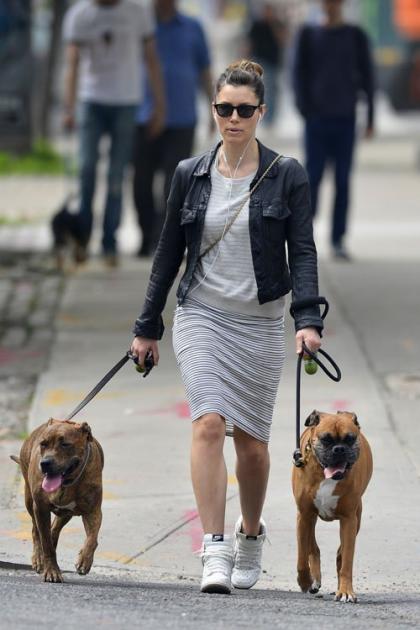 Jessica Biel: Tribecca Stroll with the Dogs