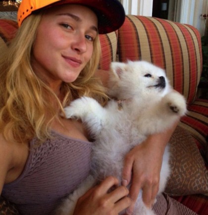 Hayden Panettiere's Funbags Are Great Dog Cushions