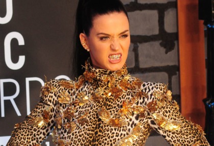 We?d Rather See Katy Perry's Rack And Not Her Grill