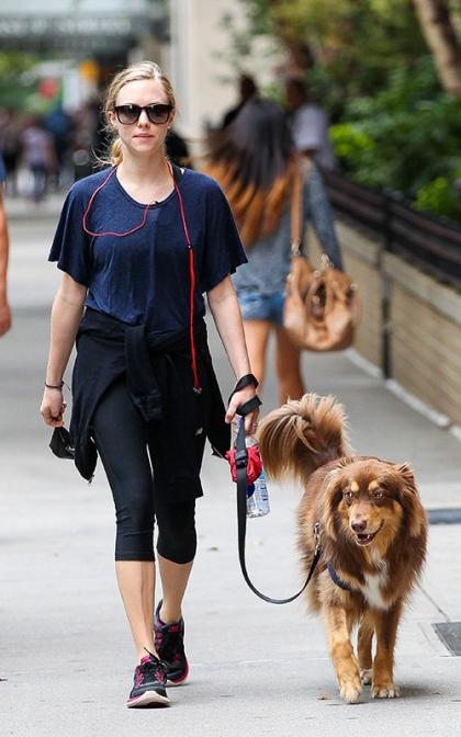 Amanda Seyfried's Dog Day in NYC