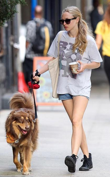 Amanda Seyfried Spends the Day with Finn 