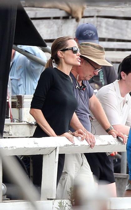 Angelina Jolie May Be Called to Testify in Stunt Double's Lawsuit
