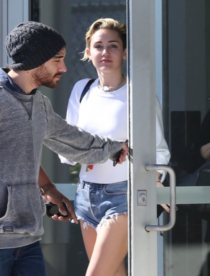 Miley Cyrus exits a private jet with Kellan Lutz: is this a Lutzy romance?