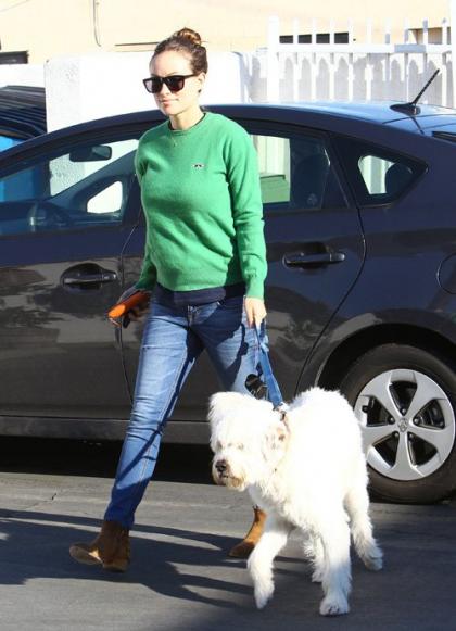 Pregnant Olivia Wilde and Protective Paco Take a Stroll