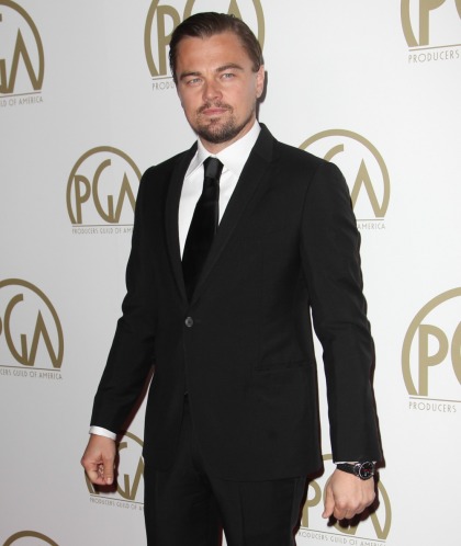 Star: Leonardo DiCaprio sustained a bad back injury, 'he's in nonstop pain'