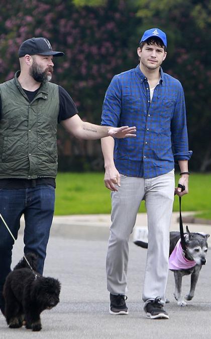 Ashton Kutcher: Thursday Stroll with his Furry Pal