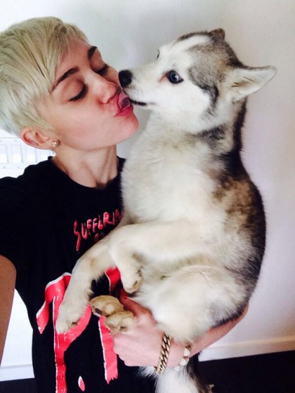 Miley Cyrus gave away the bandaid puppy that mom Tish gave her