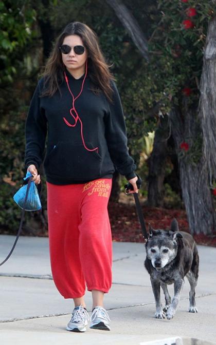 Mila Kunis' Preggers Dog Walk in LA
