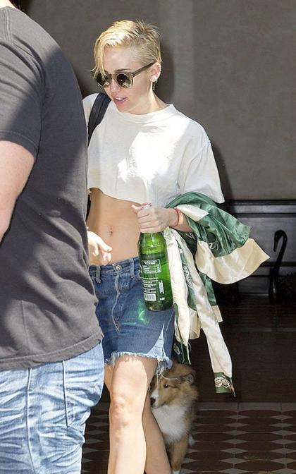 Miley Cyrus Shows Off her Midriff in NYC