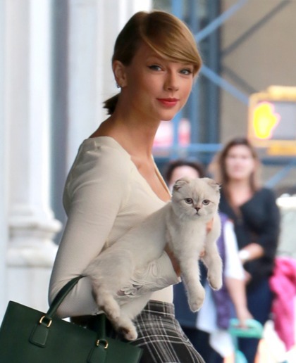Taylor Swift brings her kitty Olivia out in NYC for an adorable photo-op