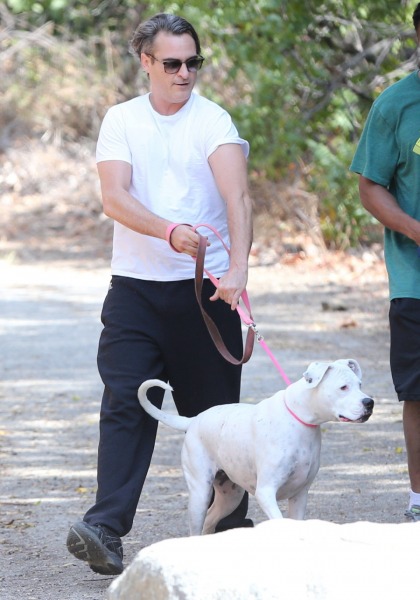 Joaquin Phoenix takes his sweet-looking pit bull for a walk in LA: adorable?