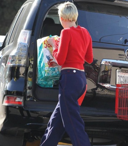 Miley Cyrus Works It At Trader Joe's