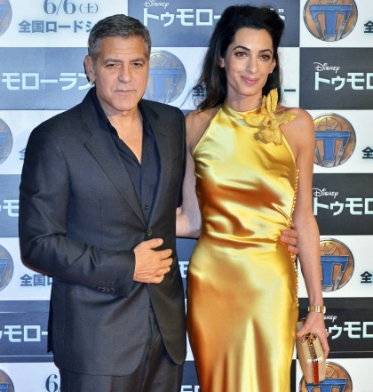 Enquirer: George Clooney wonders how his 'Amal Experiment' went so wrong