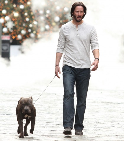 Would you like some photos of Keanu Reeves and a pit bull'  Of course.