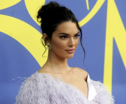 Kendall Jenner's Doberman apparently nipped a little girl at lunch in LA