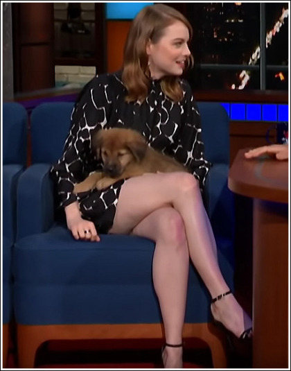 Emma Stone Puts On A Drool-Inducing Leg Show! Emma Stone Puts On A Drool-Inducing Leg Show!