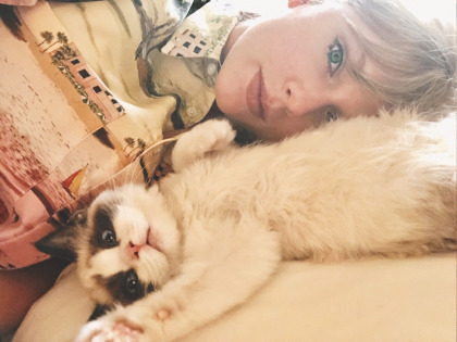 Taylor Swift's cat-adoption video will turn people into members of the Snake Fam