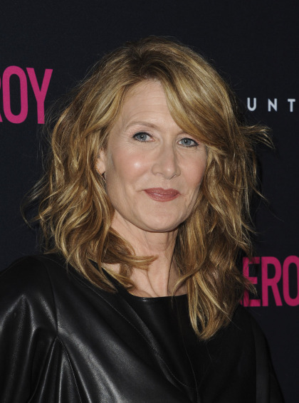 Laura Dern: 'Every woman knows abuse, not just as a small statistic'