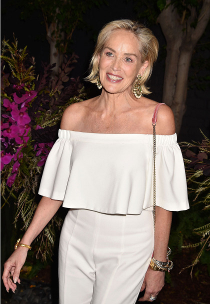 Sharon Stone: 'Princess Diana & I were so famous ' and she died and I had a stroke'