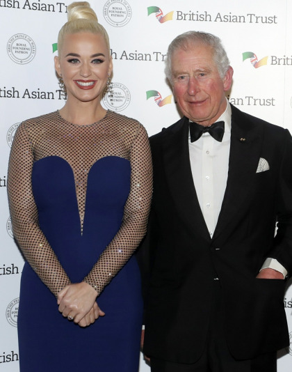 Katy Perry was named the ambassador to Prince Charles' British Asian Trust