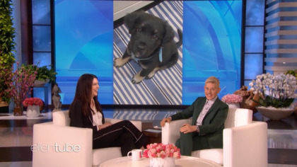 Lauren Graham got a rescue puppy, after she 'fell in love with her on the internet'