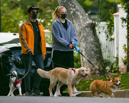 Mask-wearing Sophie Turner & Joe Jonas walk their three beautiful dogs in LA
