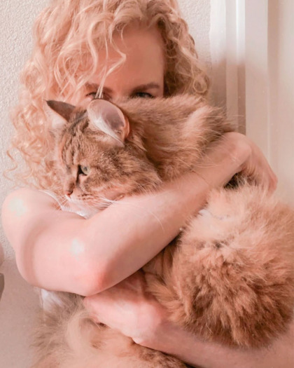 Nicole Kidman adopted her third rescue kitty, Louis, now she's officially a Cat Lady