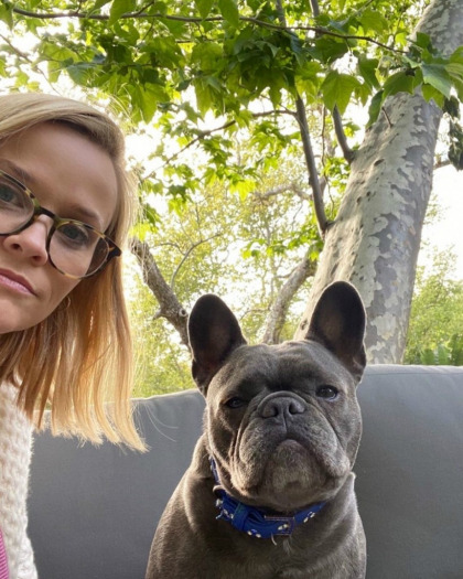 Reese Witherspoon's family's dog passed the day their puppy adoption went through