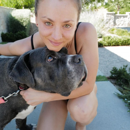 Kaley Cuoco adopted a 'ginormous' senior dog, a mastiff named Larry